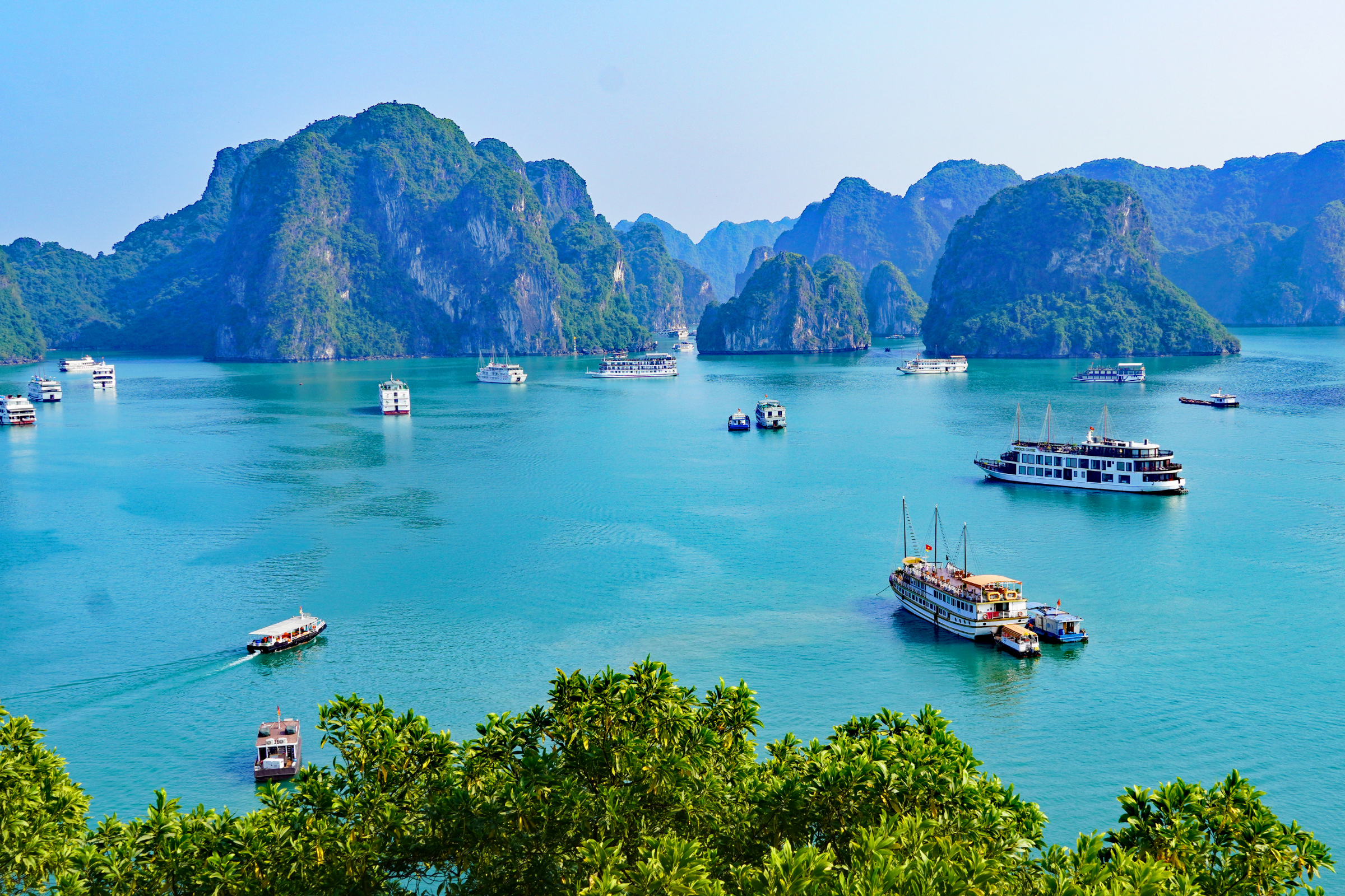 việt trì (2).webp
